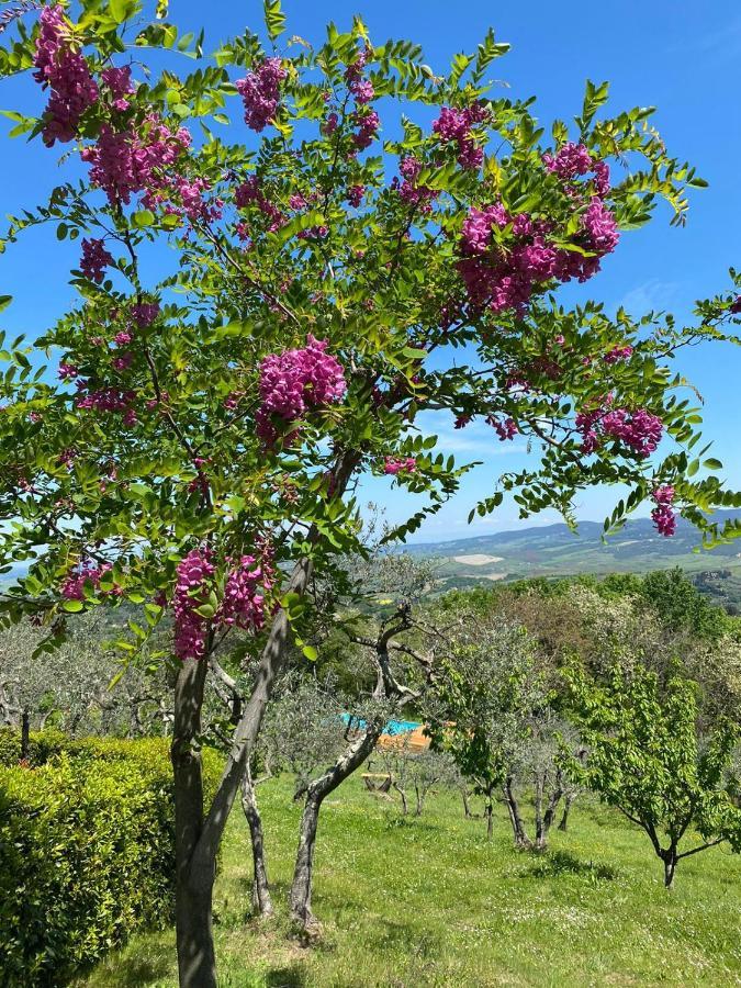 Casa Di Coraggio Villa Volterra Bagian luar foto